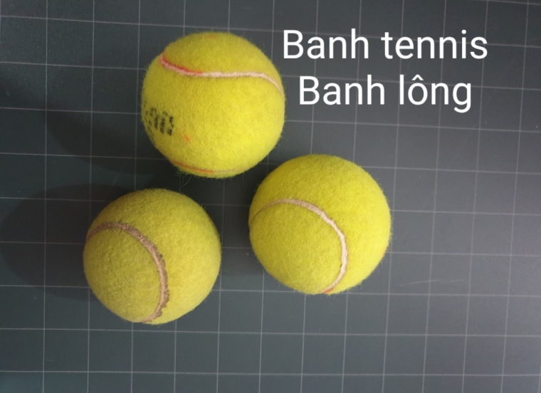 Banh tennis - Banh lông