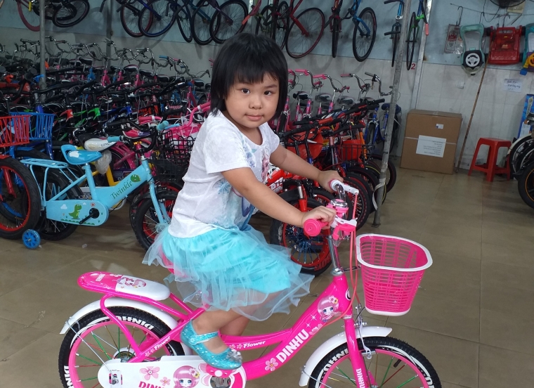 Xe Đạp NK Dinhu 16in Gái Hồng
