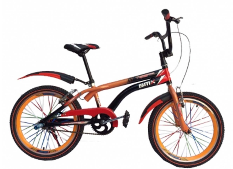 Xe đạp trẻ em BMX Top Speed 20 inch