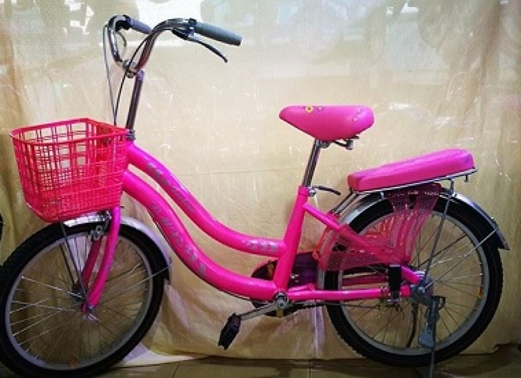 Xe đạp mini BMX S 189 hồng 20in sơn nước, yên nệm màu