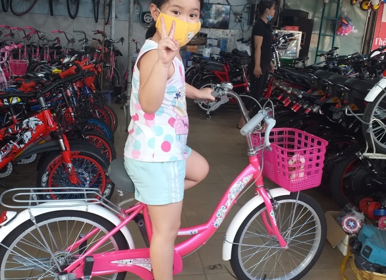 Xe Đạp BMX 203