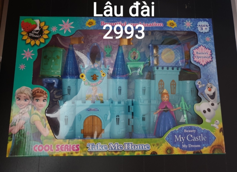 Lâu đài 2993