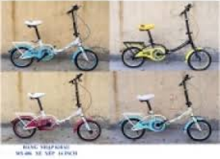 Xe đạp xếp BMX 538 Fastyle 14in
