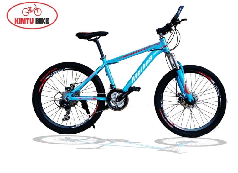 Xe đạp leo núi *địa hình* MS 01 24in