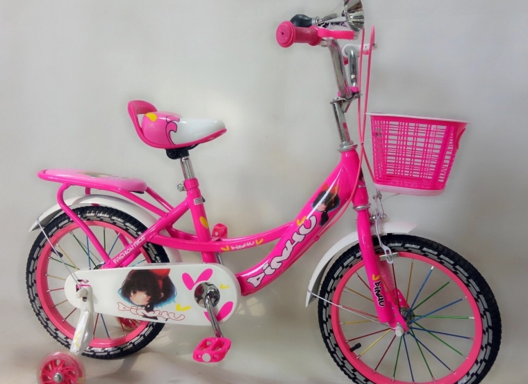 Xe đạp NK Dinhu 16in Hồng