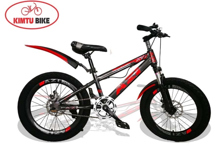 BMX 575 20in Azi
