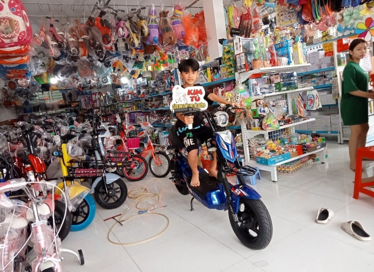 Xe đạp điện M133 VN 