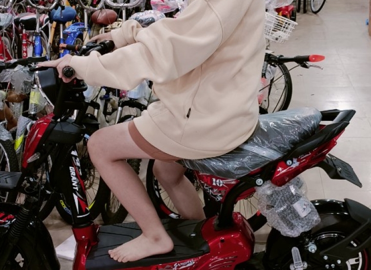 Xe đạp điện M133 VN 