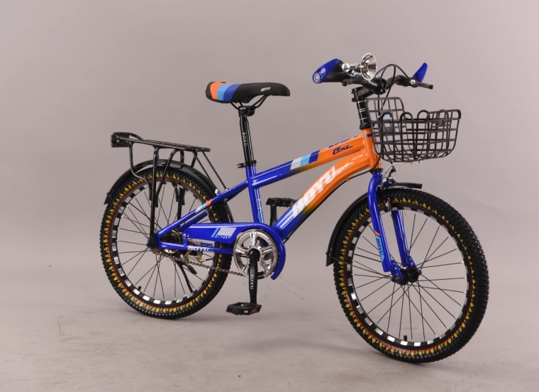 Xe đạp trẻ em Boyu 20in 