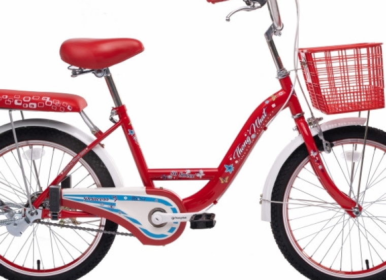 Xe đạp Thống Nhất NEO 20-02 